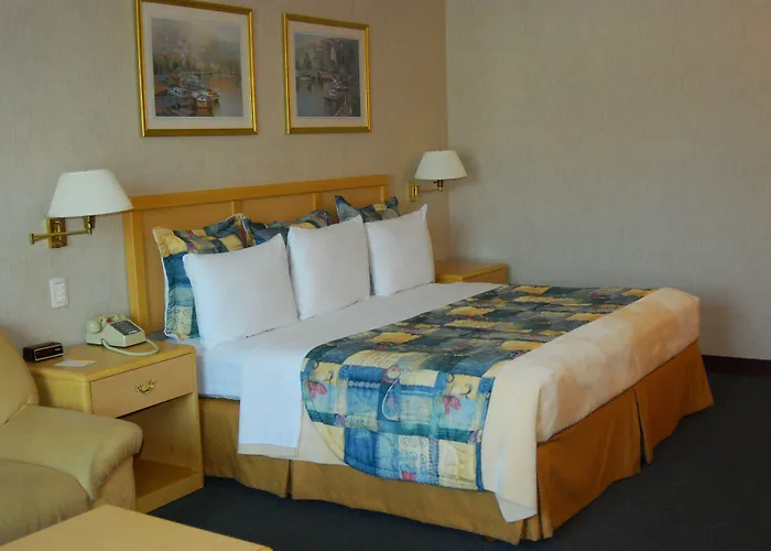 Rio Vista Inn Business High Class Tampico
